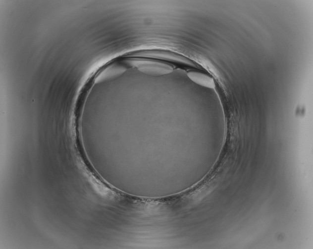 X0000091361072200708101415