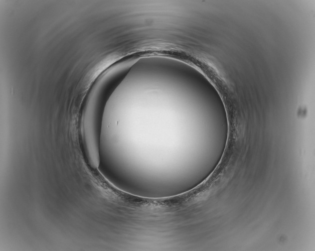 X0000091361073200708101415