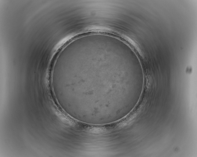 X0000091361074200708101415
