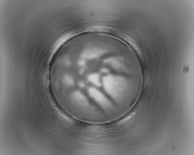 X0000091361075200708101415