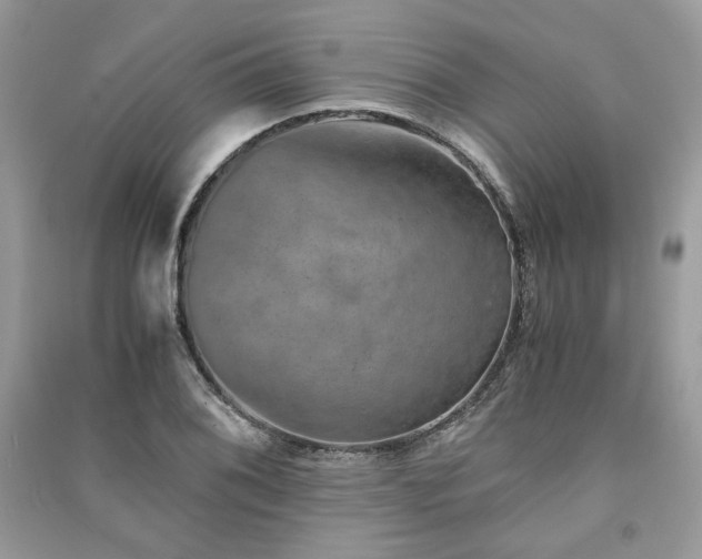 X0000091361076200708101415