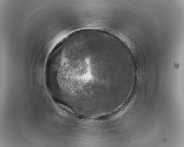 X0000091361077200708101415