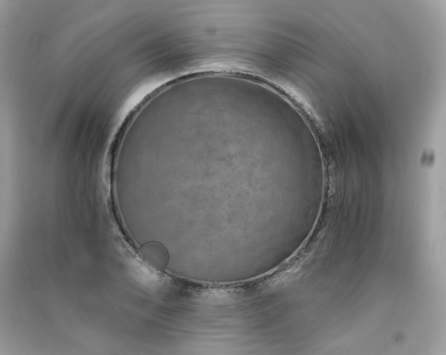 X0000091361078200708101415