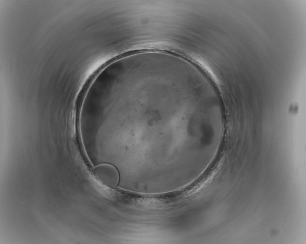 X0000091361079200708101415