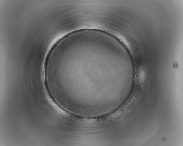 X0000091361080200708101415