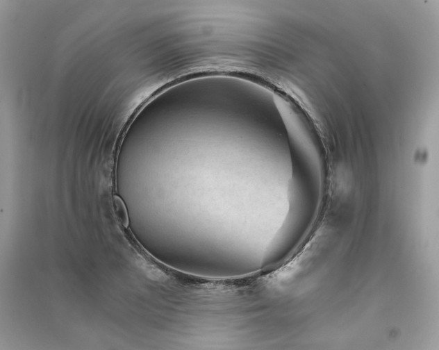 X0000091361081200708101415