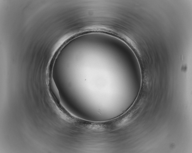 X0000091361082200708101415