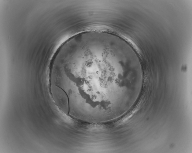 X0000091361083200708101415