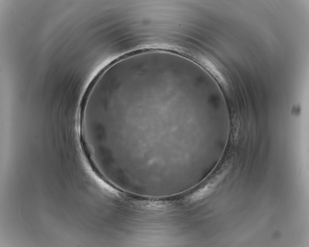 X0000091361084200708101414