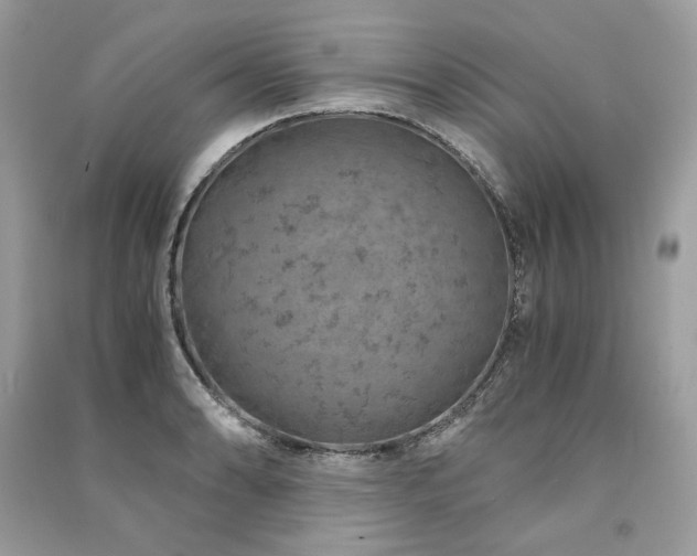 X0000091361086200708101414