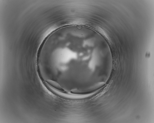 X0000091361087200708101414