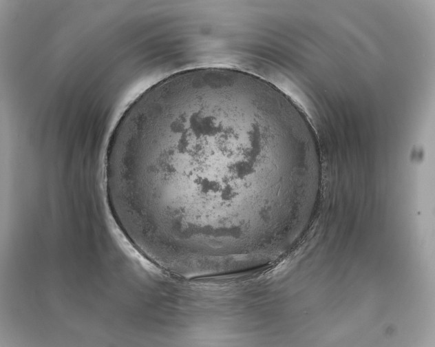 X0000091361088200708101414