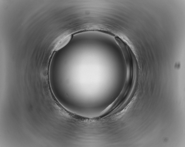 X0000091361089200708101414