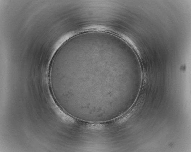 X0000091361090200708101414