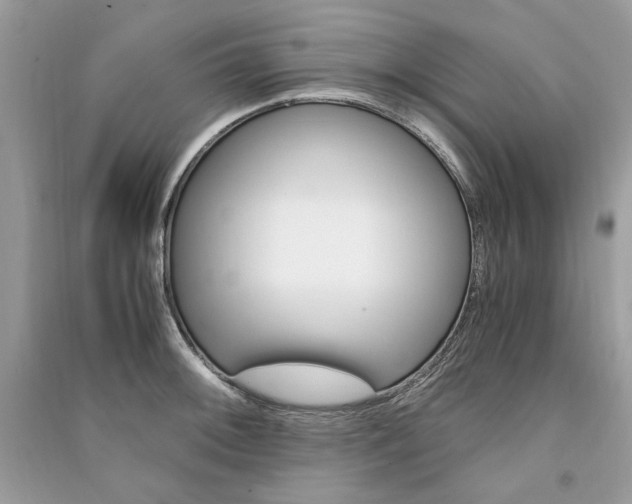 X0000091361092200708101414