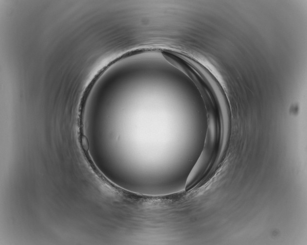 X0000091361093200708101414