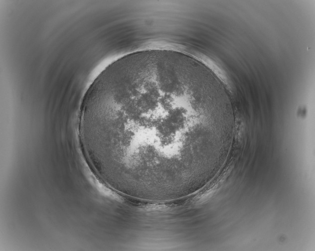 X0000091361094200708101414