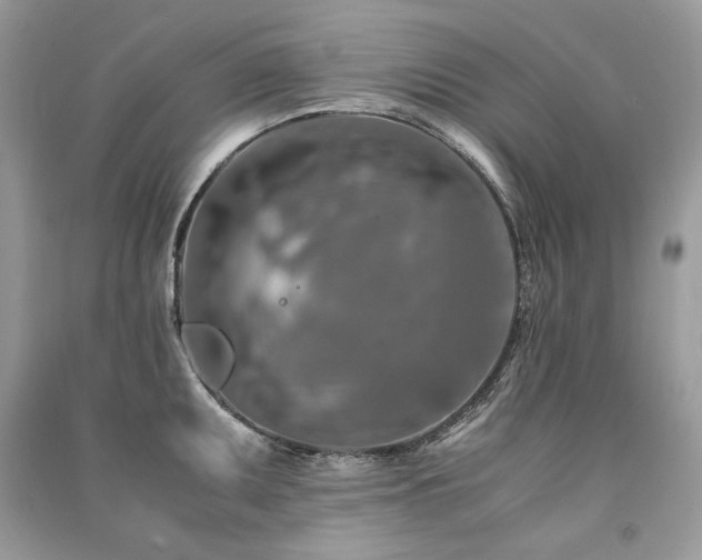 X0000091361095200708101414