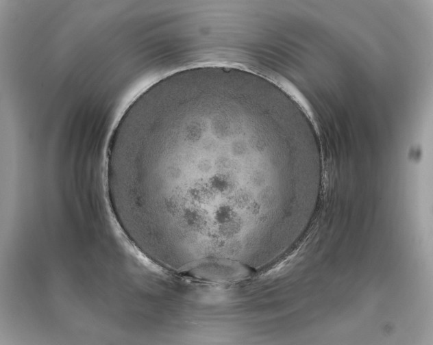 X0000091361096200708101414