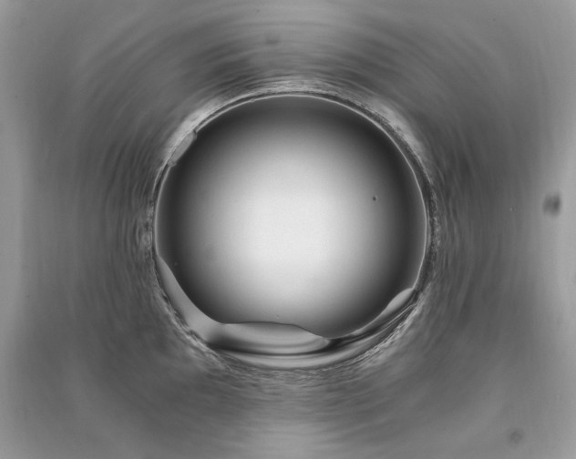 X0000091361097200708101414
