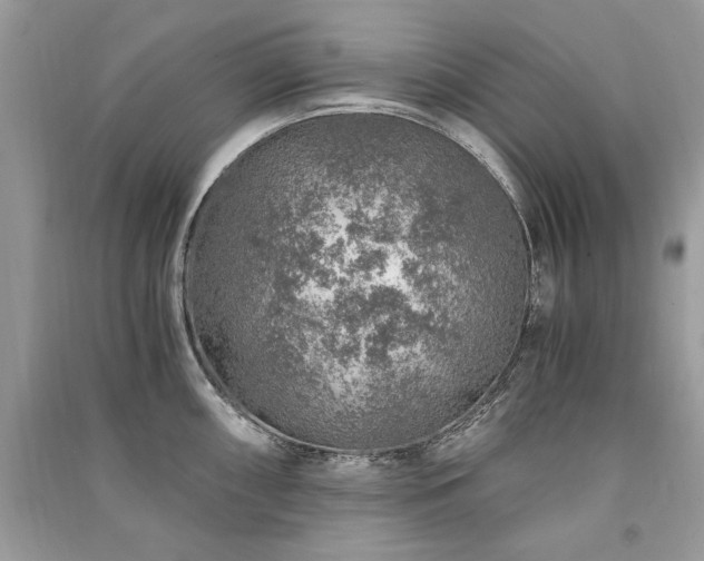 X0000091361098200708101414