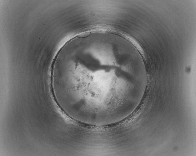 X0000091361099200708101414