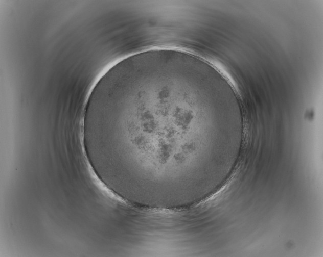 X0000091361100200708101414