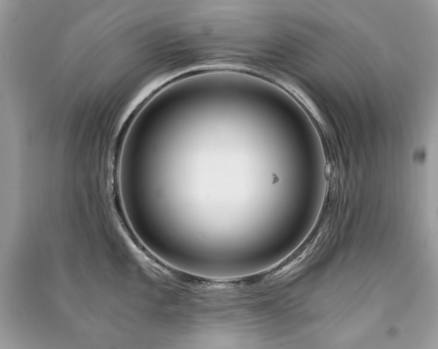 X0000091361101200708101414