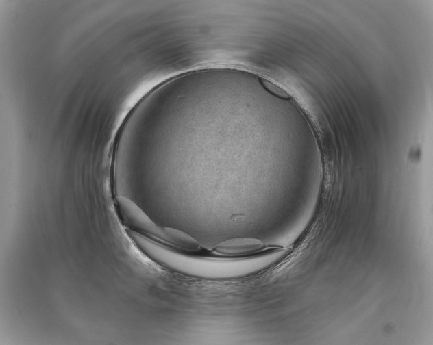 X0000091361102200708101414
