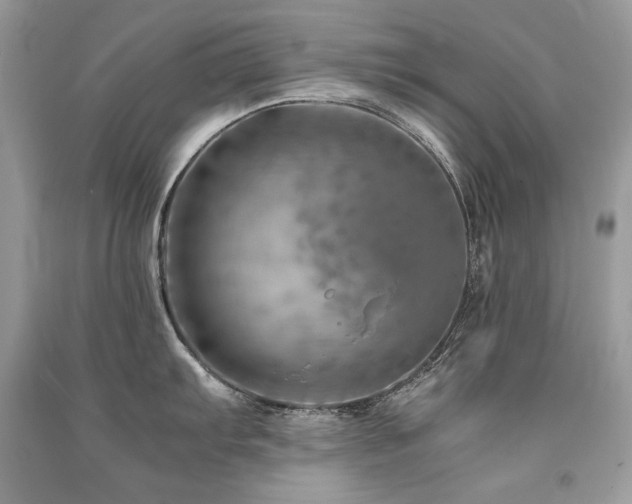 X0000091361103200708101414