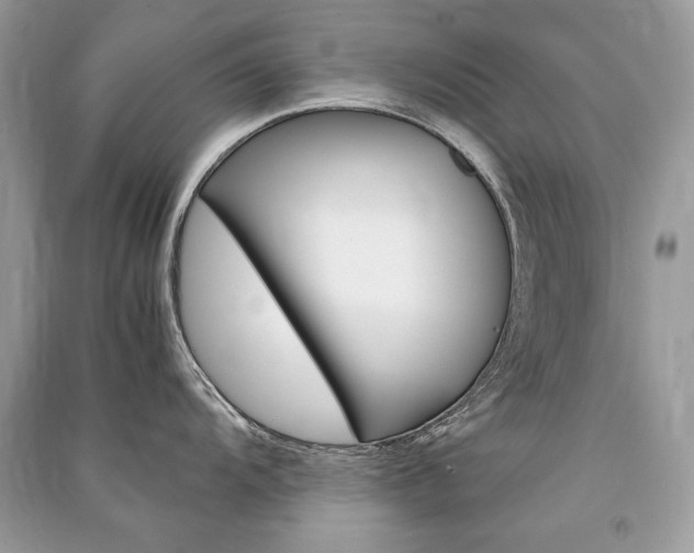 X0000091361104200708101414