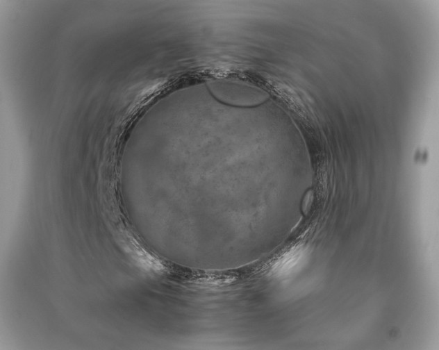 X0000091361105200708101414
