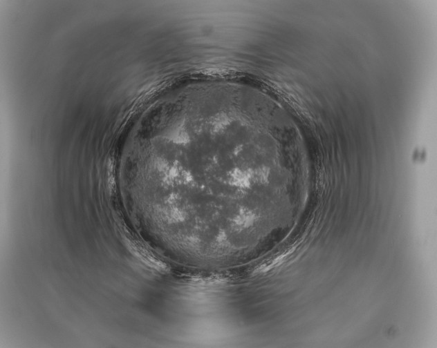 X0000091361106200708101414