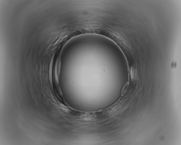 X0000091361107200708101414