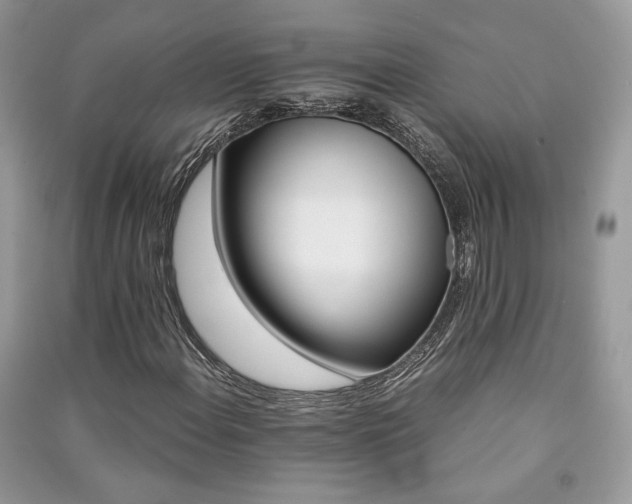 X0000091361108200708101414