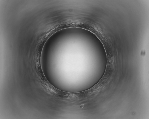 X0000091361109200708101414