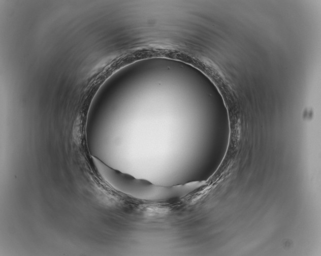 X0000091361110200708101414