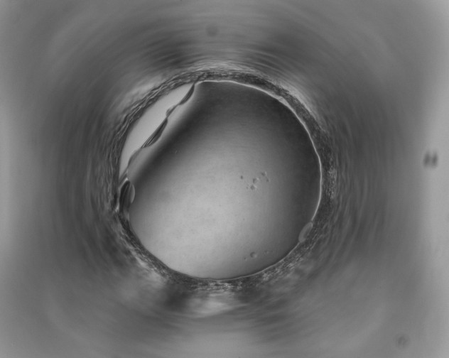 X0000091361111200708101414