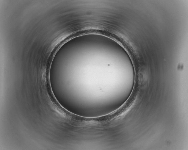 X0000091361113200708101414
