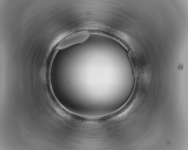 X0000091361114200708101414