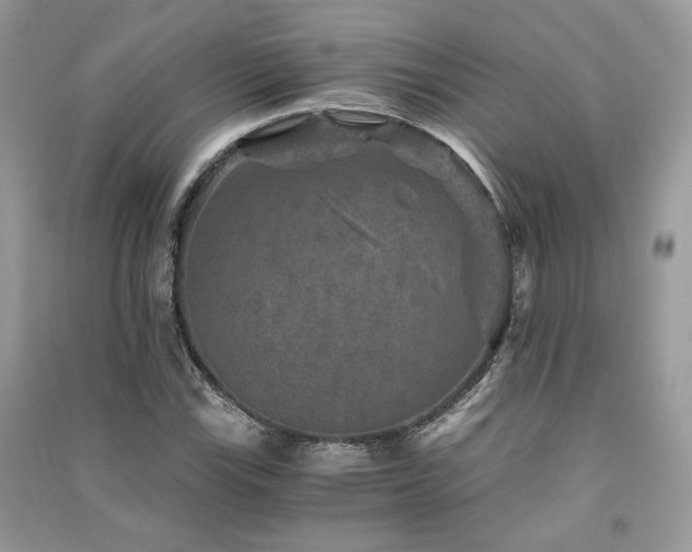 X0000091361115200708101414