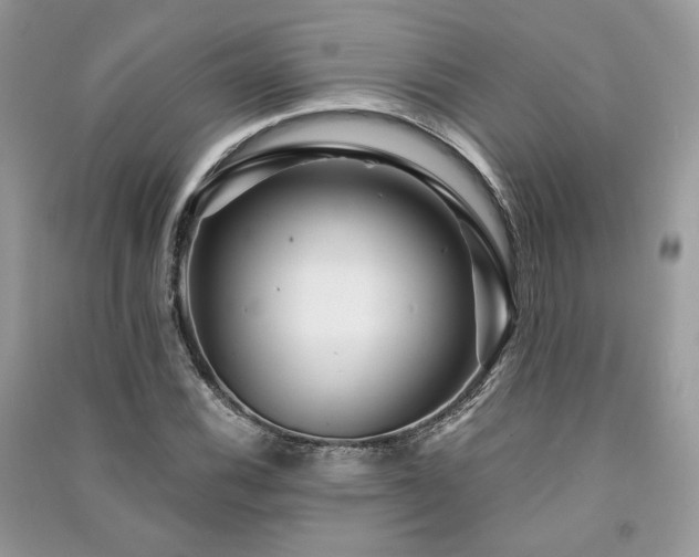 X0000091361116200708101414