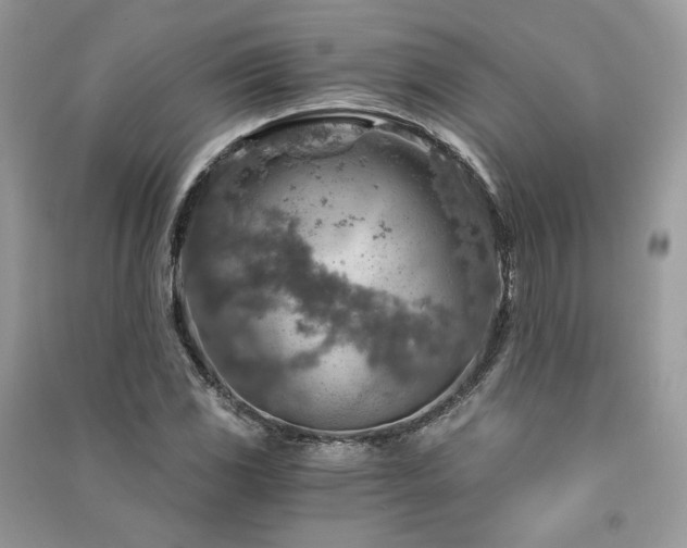 X0000091361117200708101414