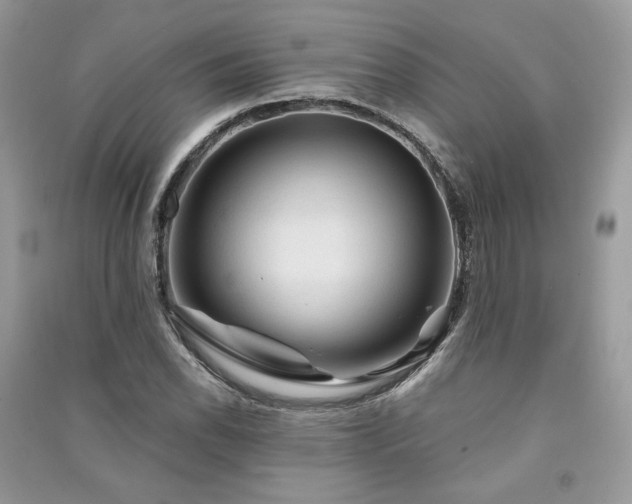 X0000091361118200708101414