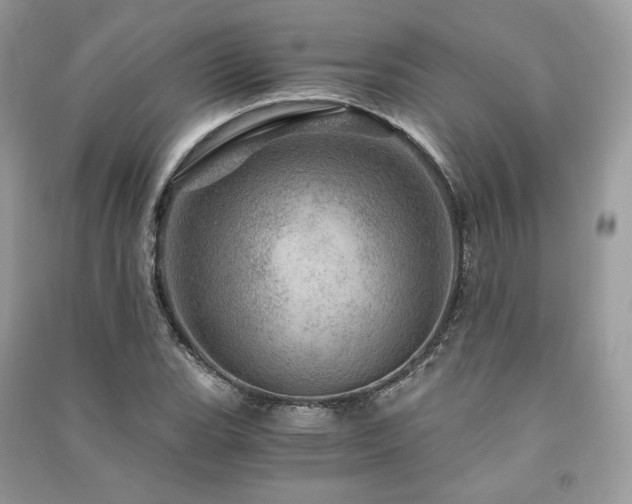 X0000091361119200708101414