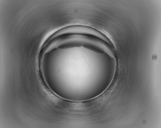 X0000091361120200708101414