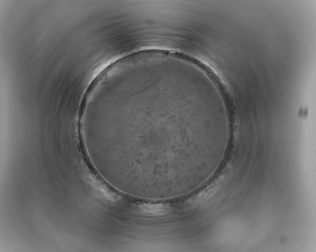 X0000091361121200708101414