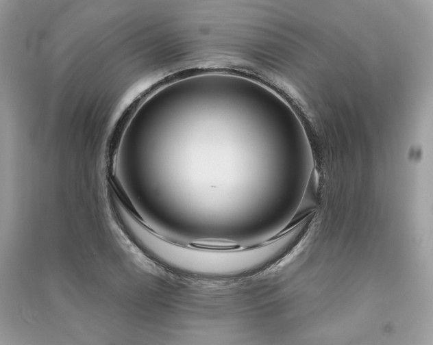 X0000091361122200708101414