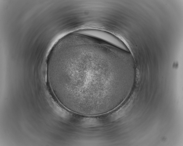 X0000091361123200708101414