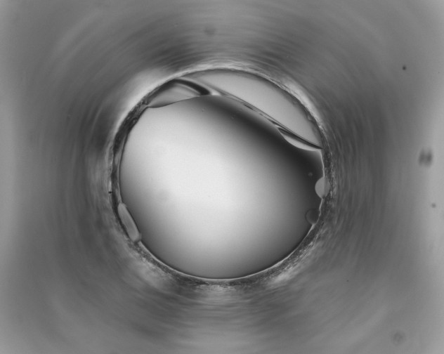 X0000091361124200708101414